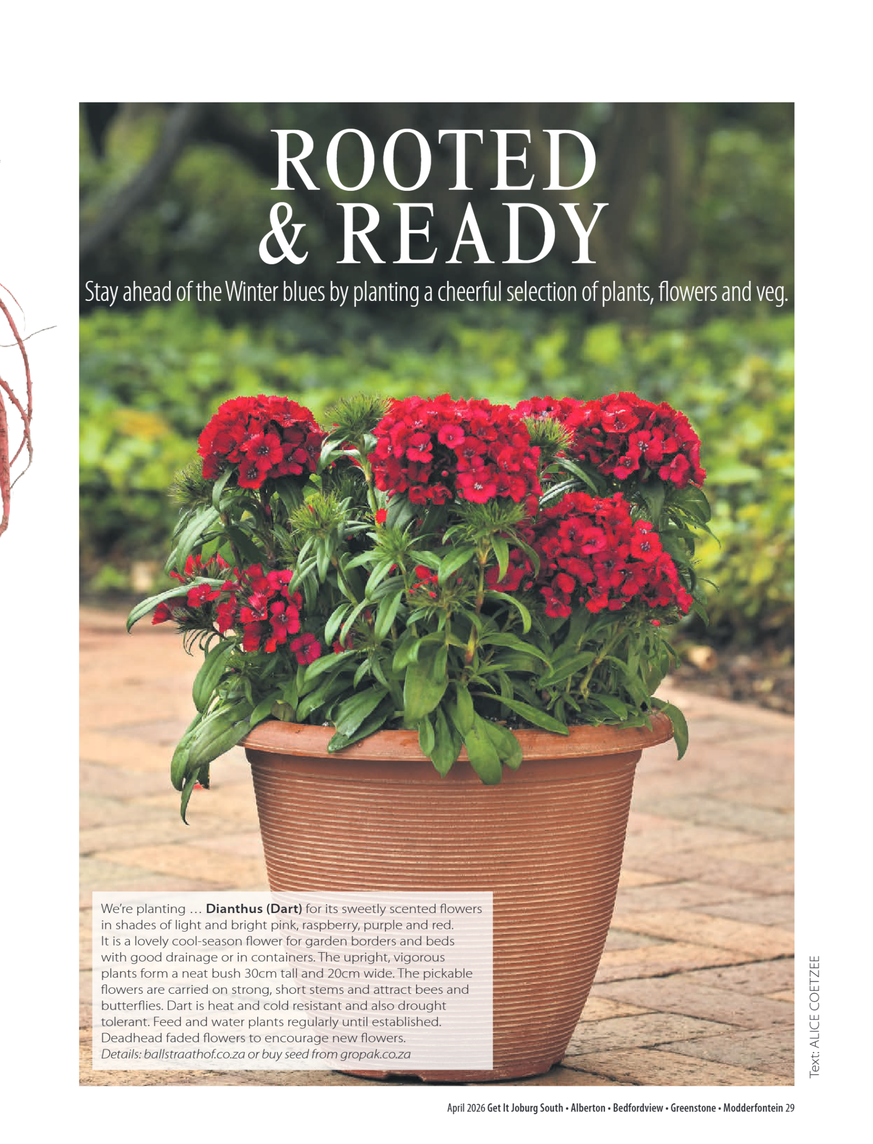 Getit April 2026 Mag page 29