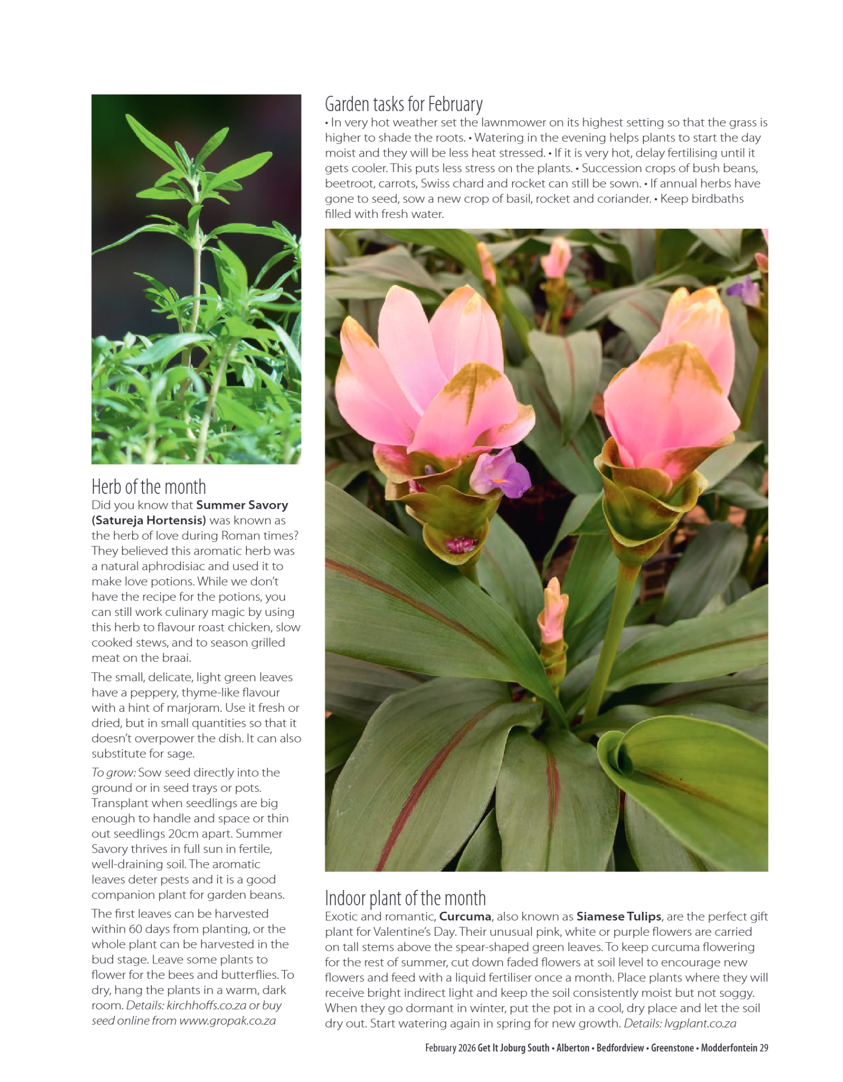 FEB GETIT Mag 2026 page 29