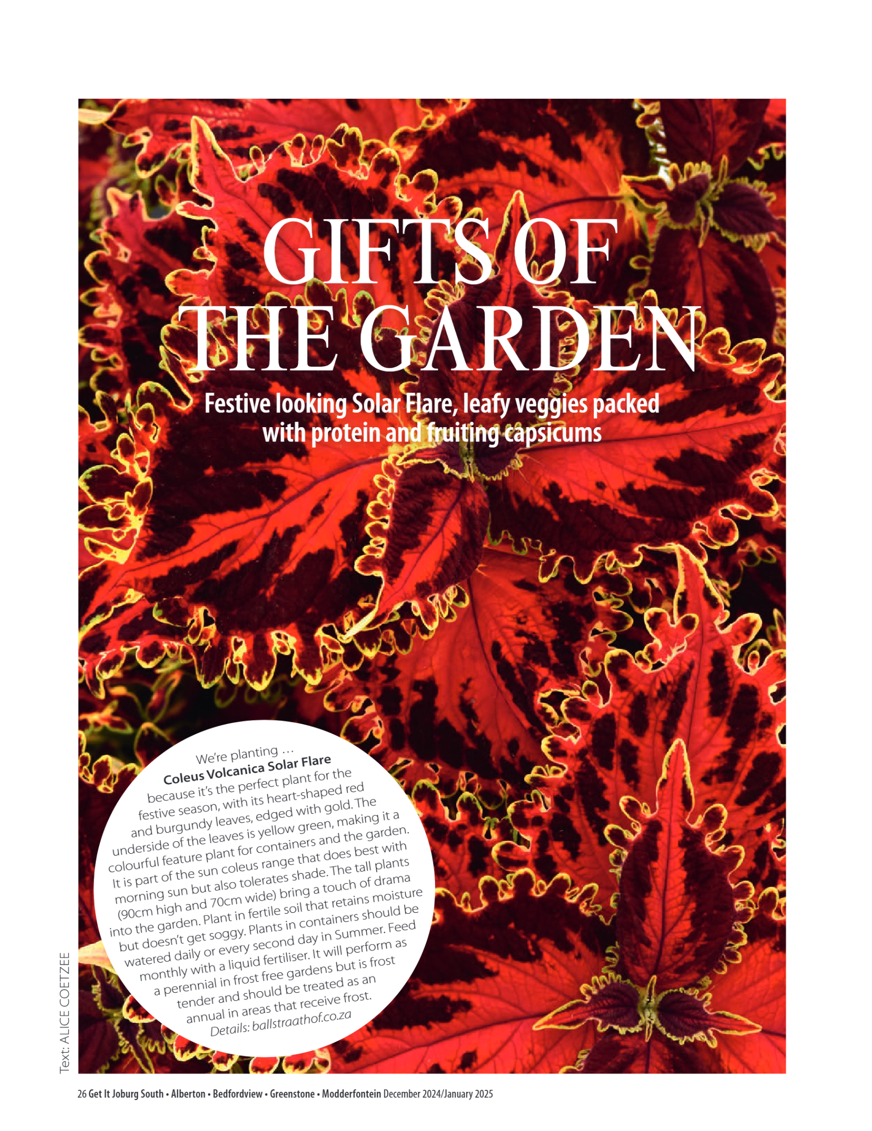 Getit East South Dec/Jan Mag page 26