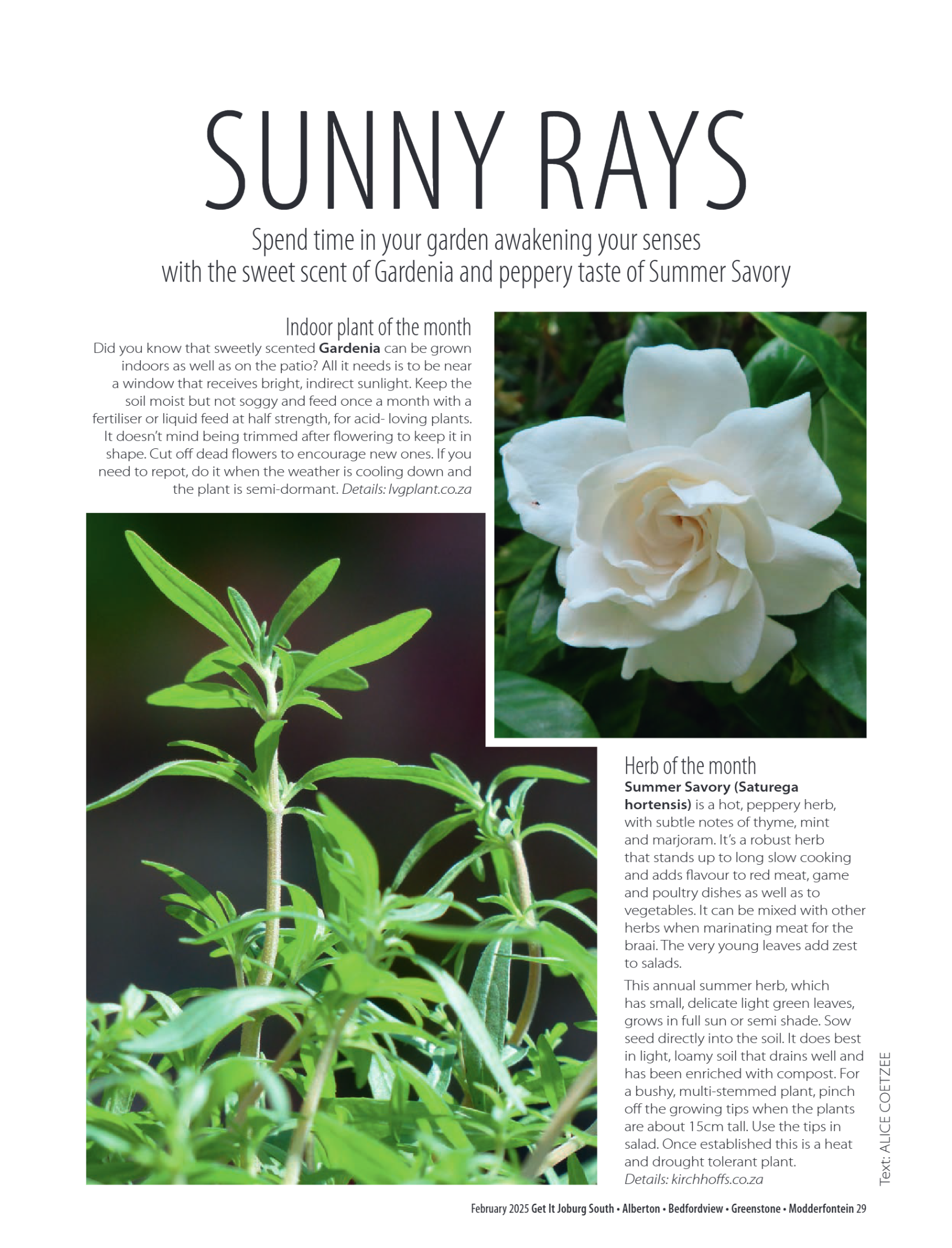 Getit East South Feb 2025 Mag page 29