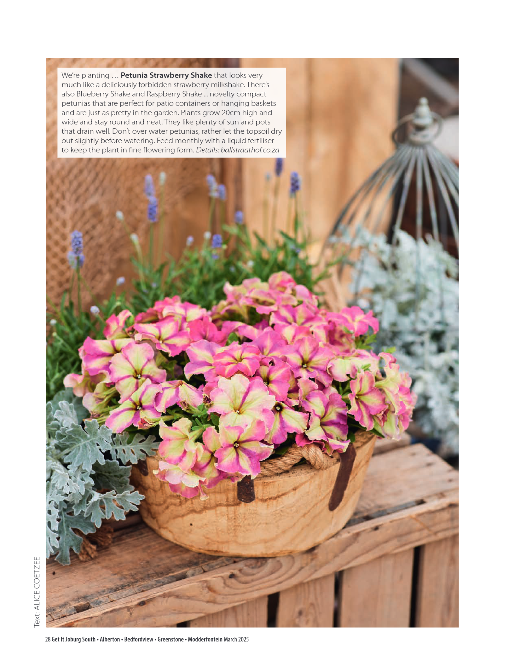 Getit East South March 2025 Mag page 28