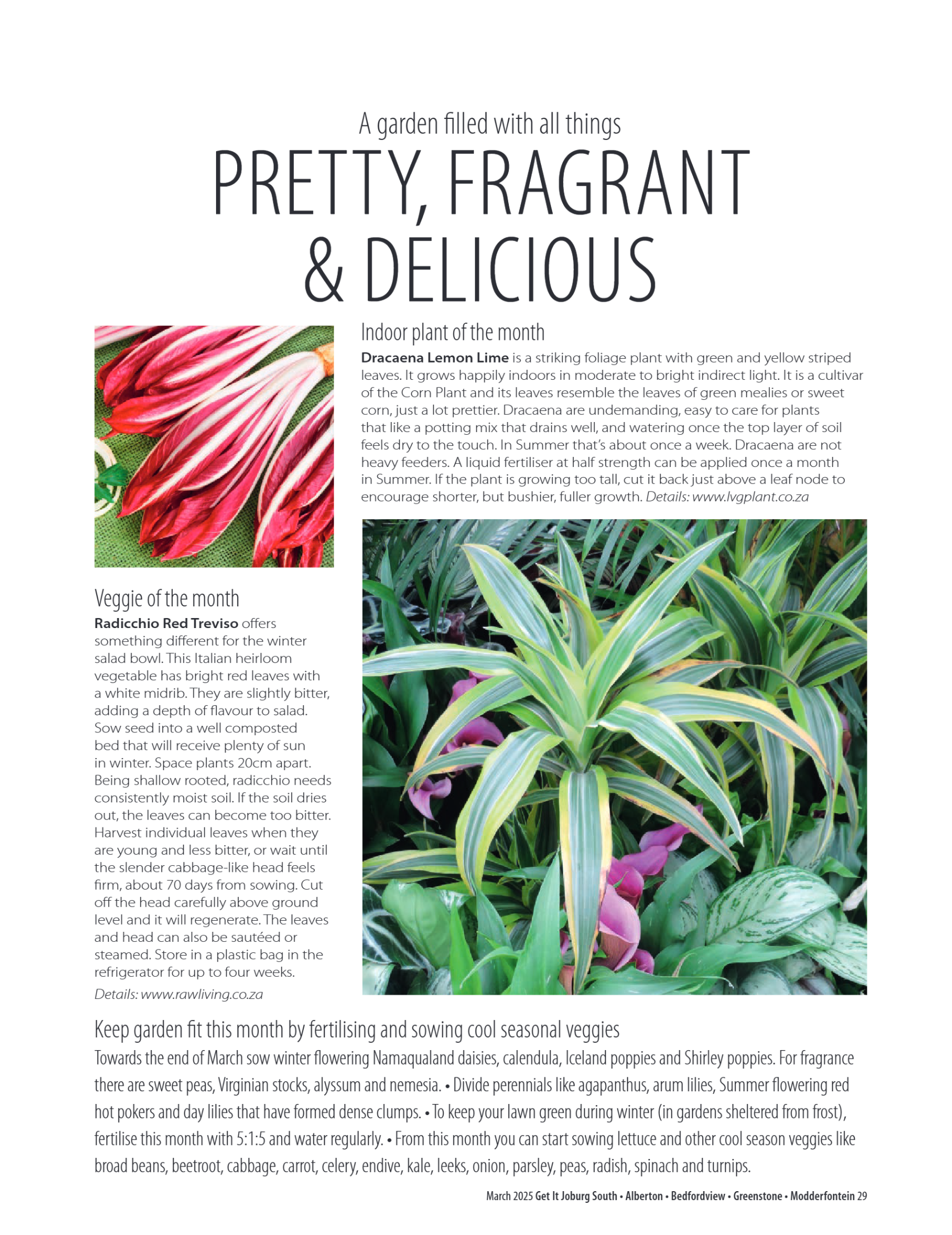 Getit East South March 2025 Mag page 29