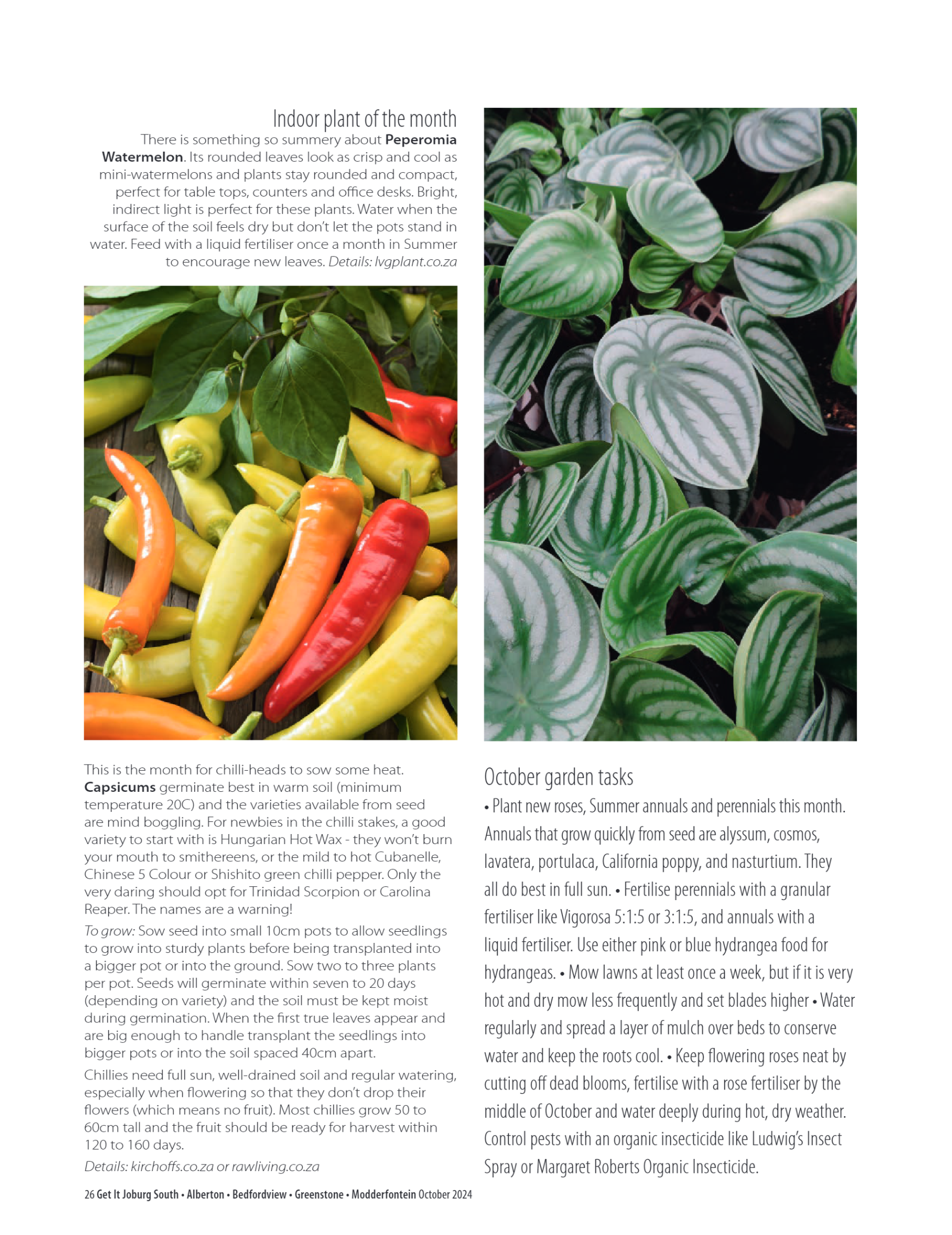 Getit East South October 2024 Mag page 26