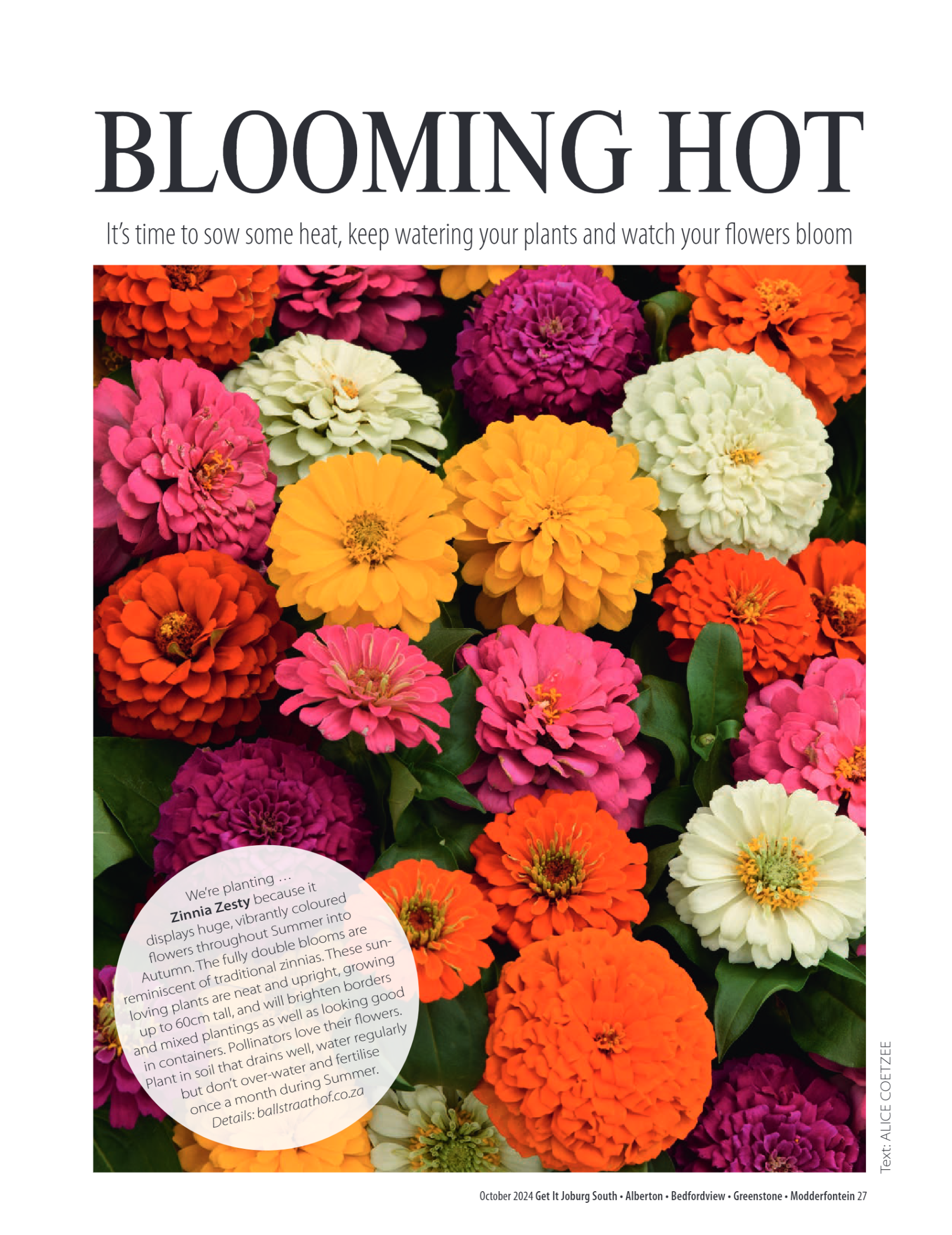 Getit East South October 2024 Mag page 27