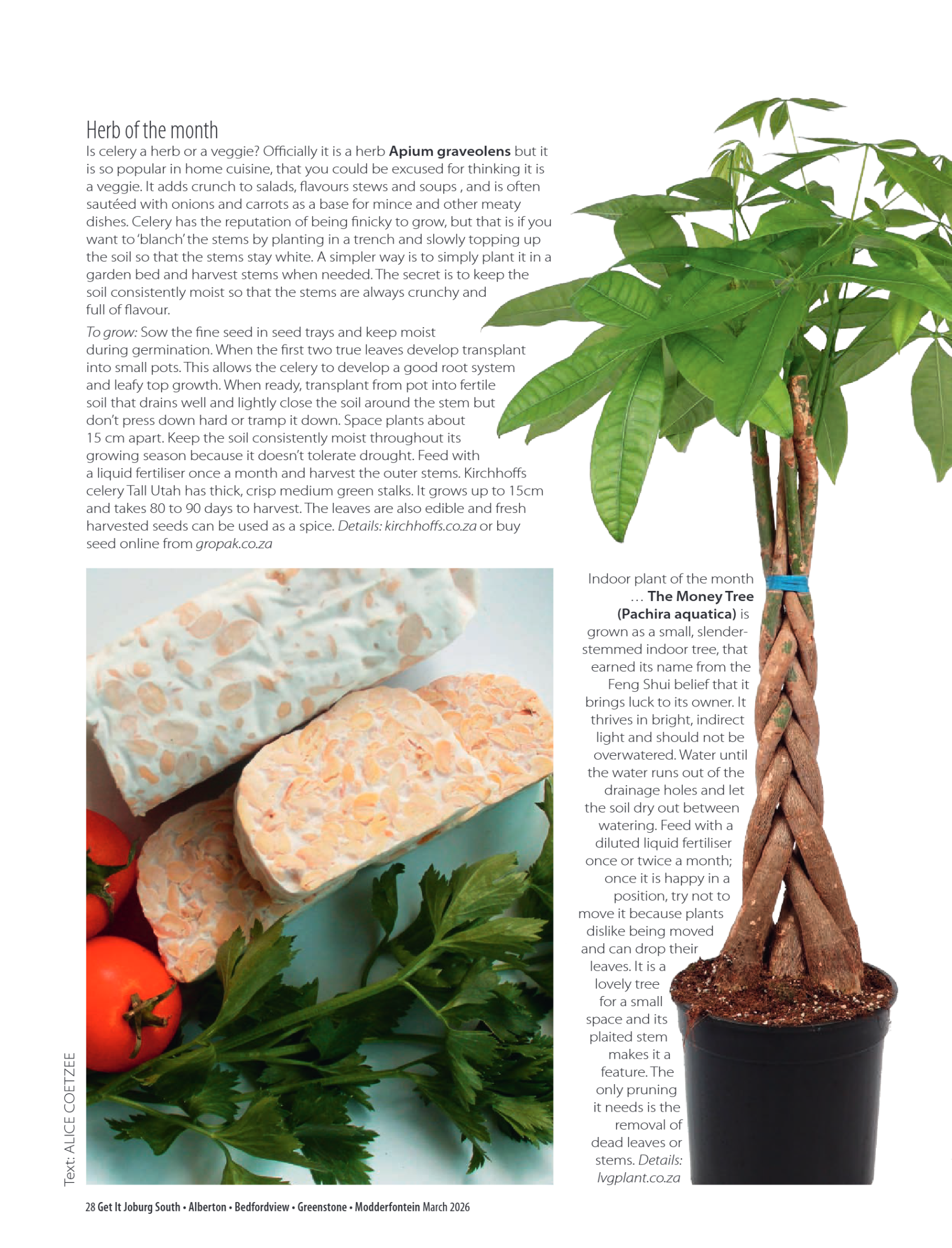 Getit March 2026 Mag page 28