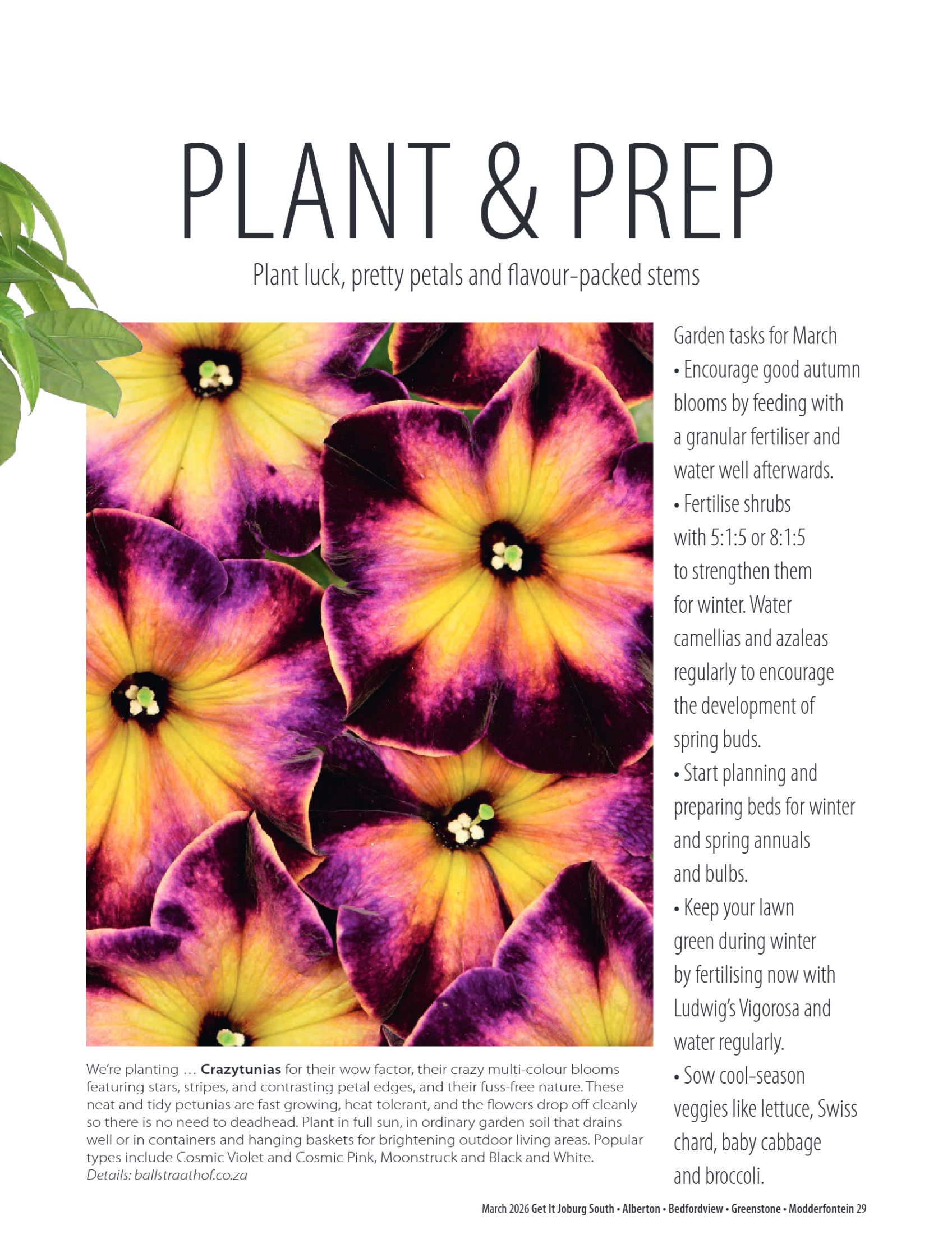 Getit March 2026 Mag page 29