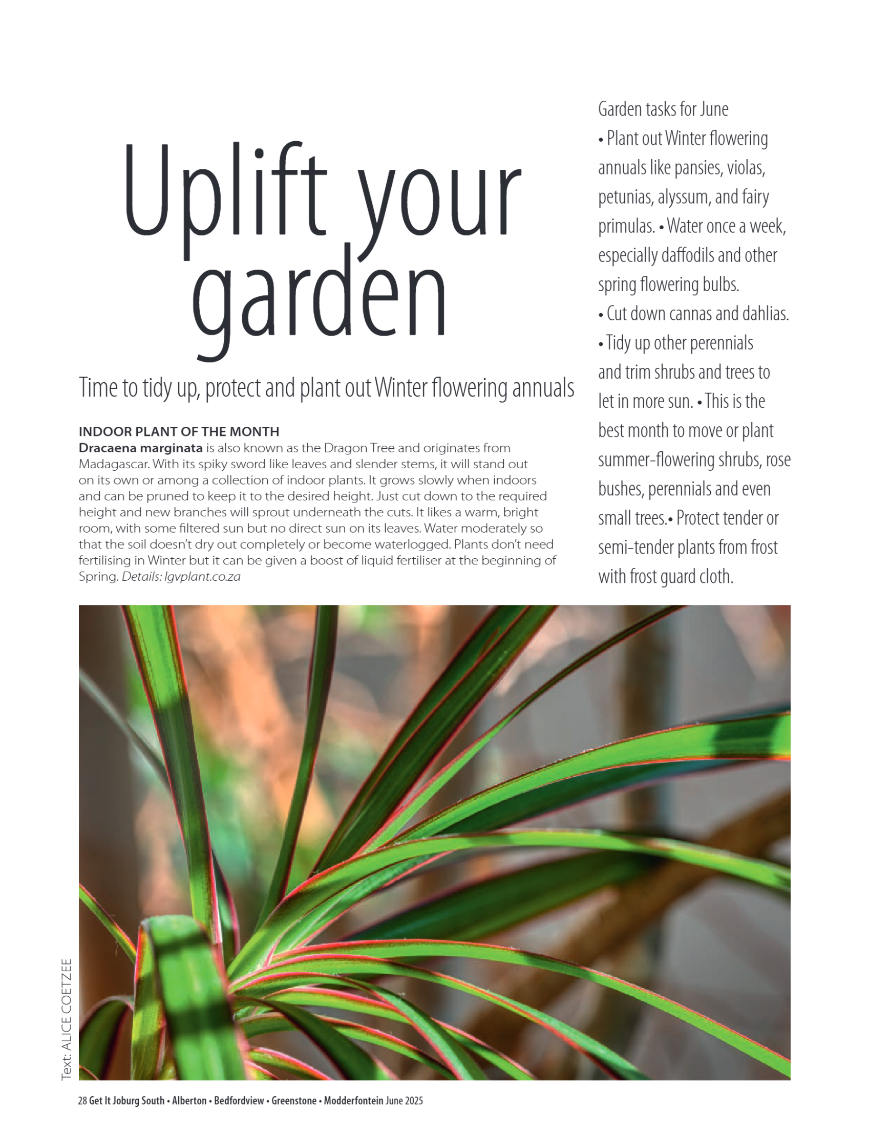 Getit East South June 2025 Mag page 28