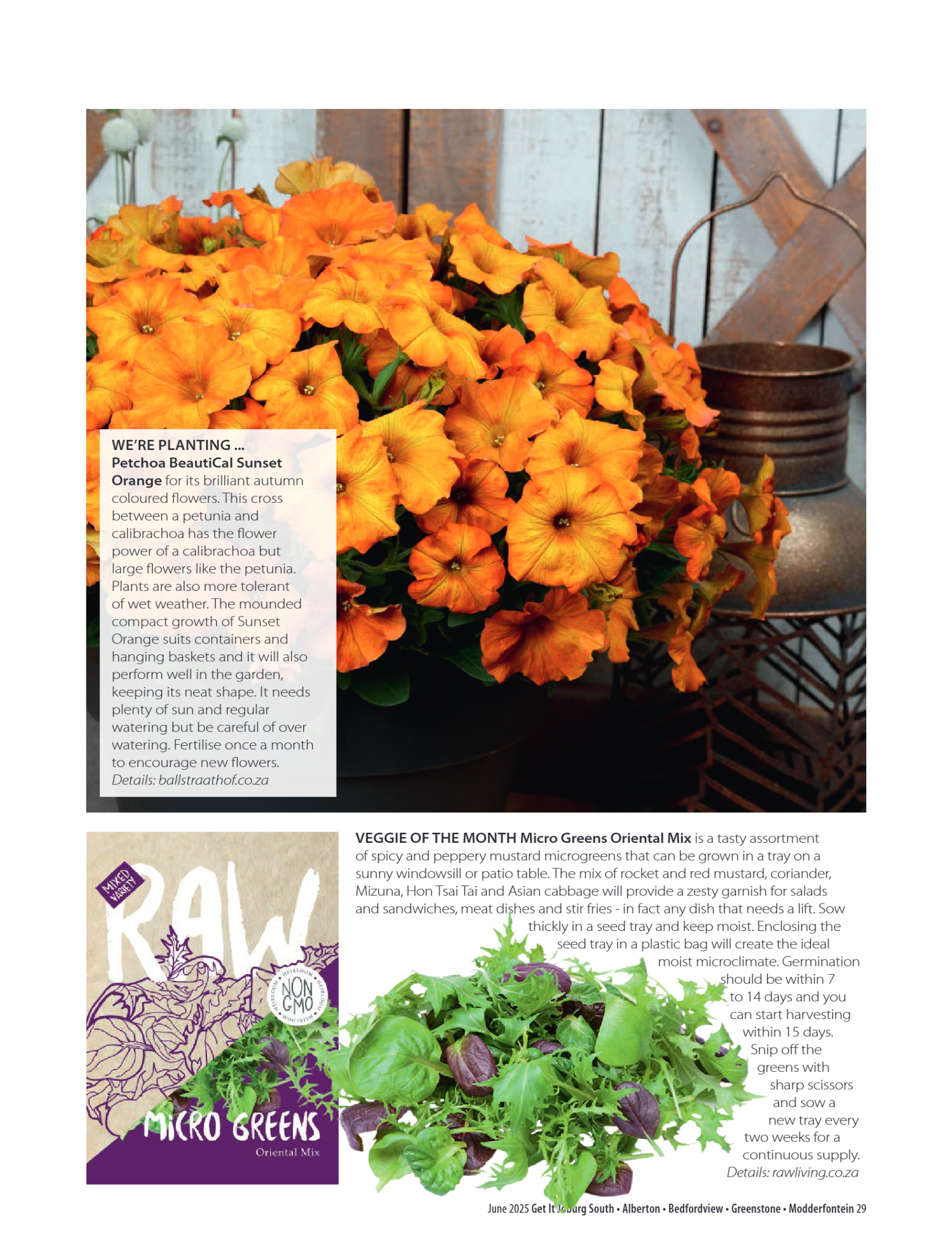 Getit East South June 2025 Mag page 29