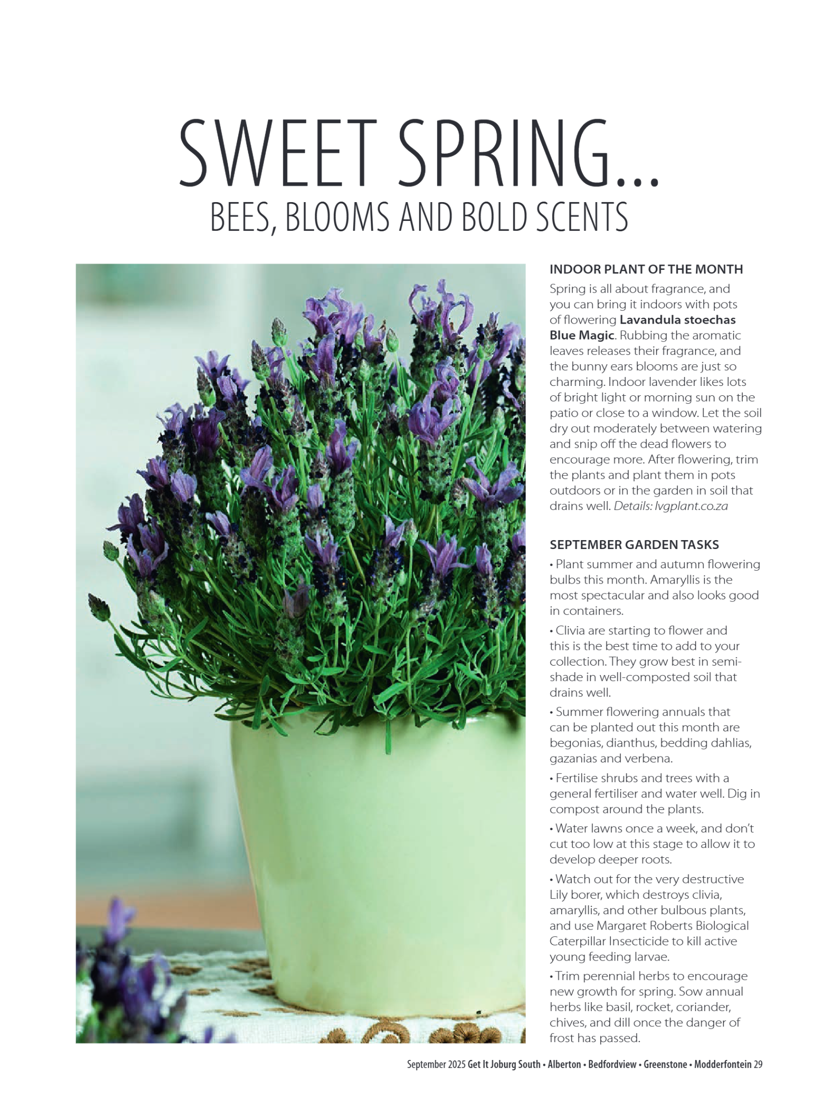 Getit September Mag 2025 page 29